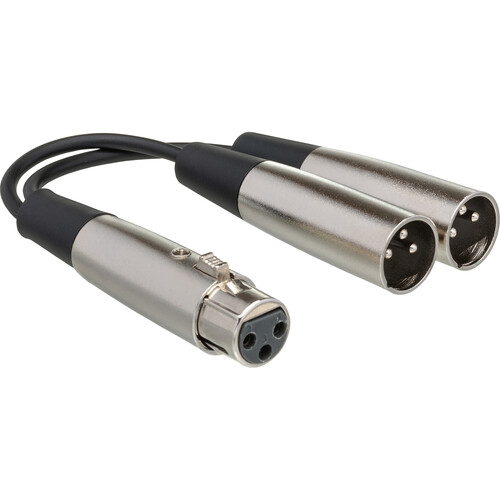 Hosa Technology XLR Female to 2 XLR Male Y-Cable (6")