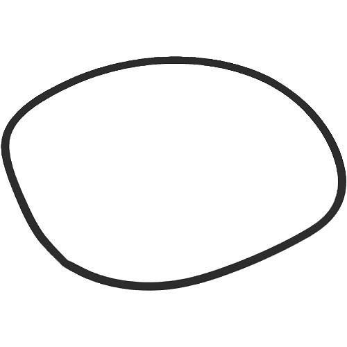 Ikelite O-Ring (Replacement)