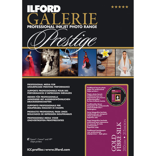 Ilford GALERIE Gold Fibre Silk Paper (13 x 19", 10 Sheets)