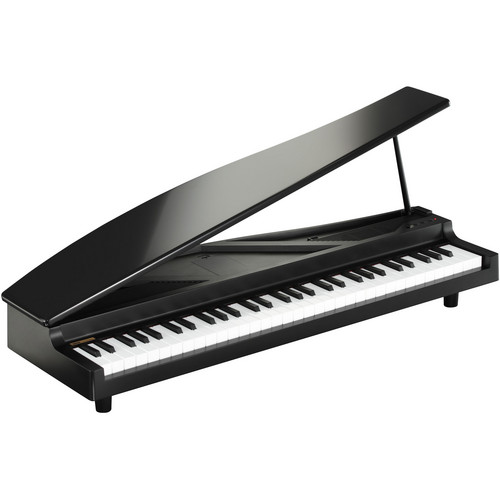Korg microPIANO Digital Piano (Black)