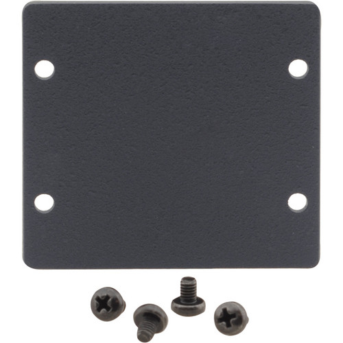 Kramer Double Insert Blank Slot Cover Plate (Black)