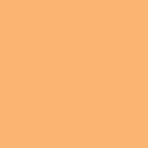 LEE Filters Full CTO Daylight Conversion Filter (48" x 25' Roll)