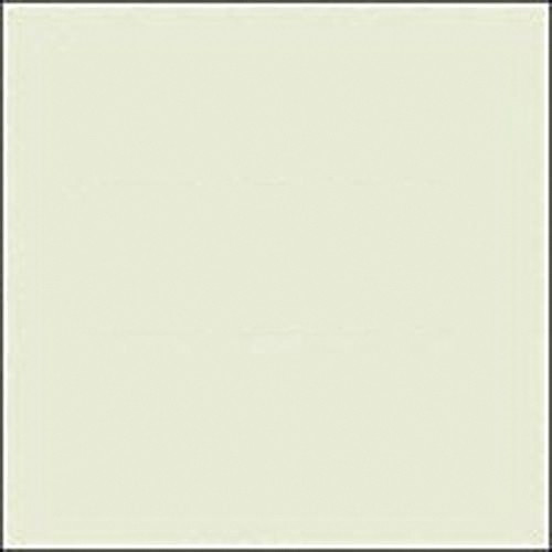 LEE Filters 1/8 Plus Green Filter (48" x 25' Roll)