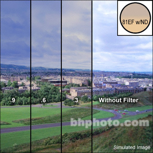 LEE Filters Combination 81EF with Hard-Edge Graduated ND Resin Filter (4 x 6", 2-Stop)