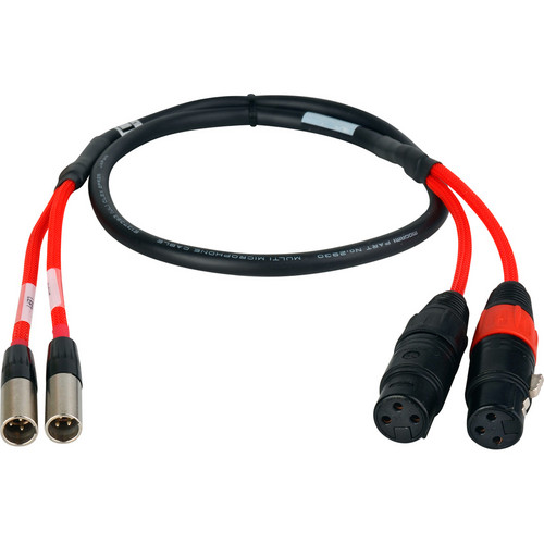 Laird Digital Cinema RD1-2MXM2XF-2 2-Channel TA3M Miniature XLR Male to Standard 3-Pin XLR Female Cable