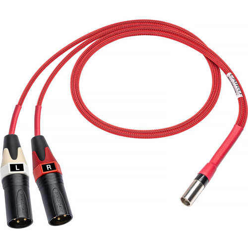 Laird Digital Cinema Line Audio Out Breakout for Red One Camera TA5M to Dual XLR Male - 5 Foot