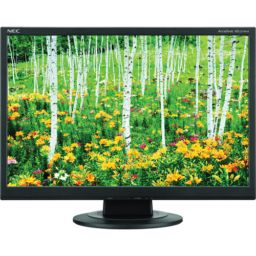 NEC AccuSync AS191WM-BK 19" LCD Widescreen Monitor