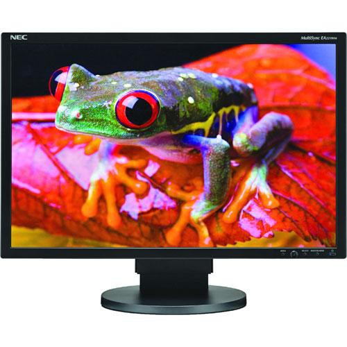 NEC MultiSync EA221WM 22" Widescreen LCD Computer Display