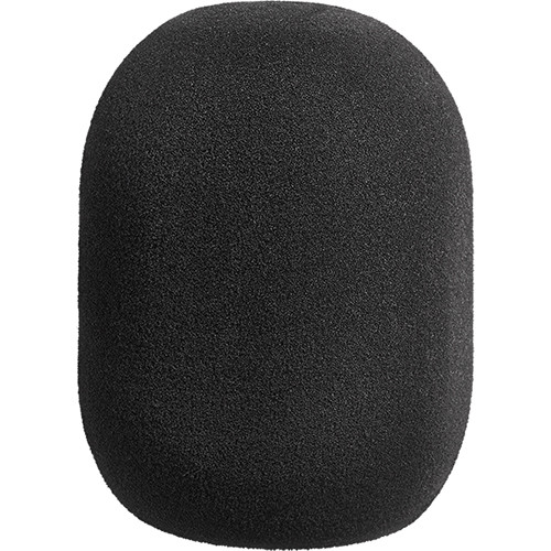 Neumann WS87 Windscreen