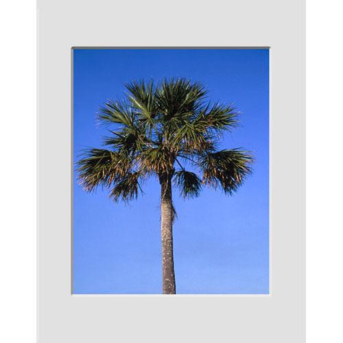 Nielsen & Bainbridge Mat - Fits Gallery and Presentation Frames, 11x14" with 8x10" Opening