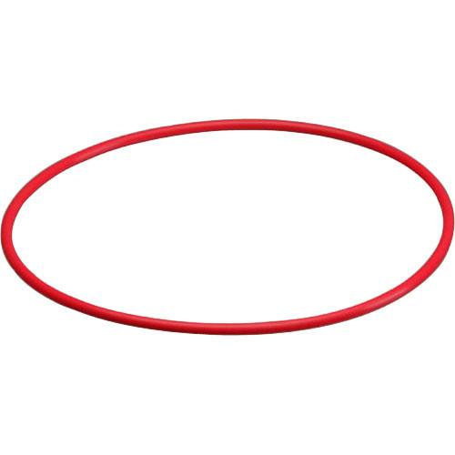 Olympus O-Ring for PT-041