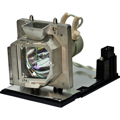 Optoma Technology BL-FU220D Projector Lamp