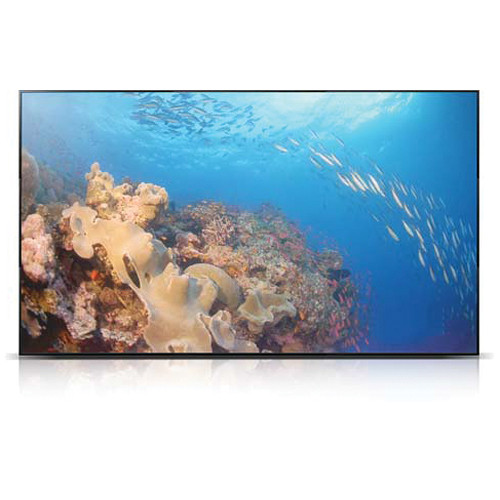 Orion Images 55RNA Multi Vision Video Wall Monitor (55")