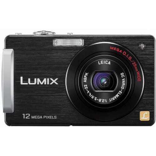 Panasonic Lumix DMC-FX580 Digital Camera (Black)