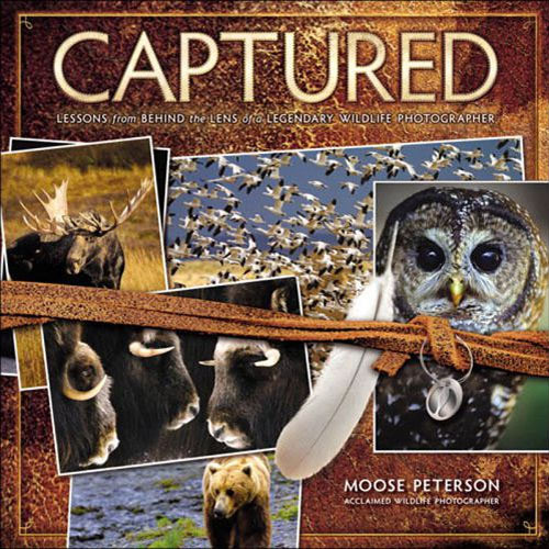 New Riders Book: Captured: Lessons from Behind the Lens of a Legendary Wildlife Photographer (First Edition)