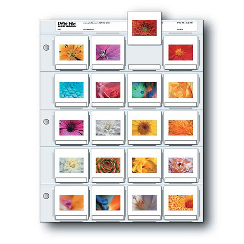 Print File Archival Storage Page for Slides