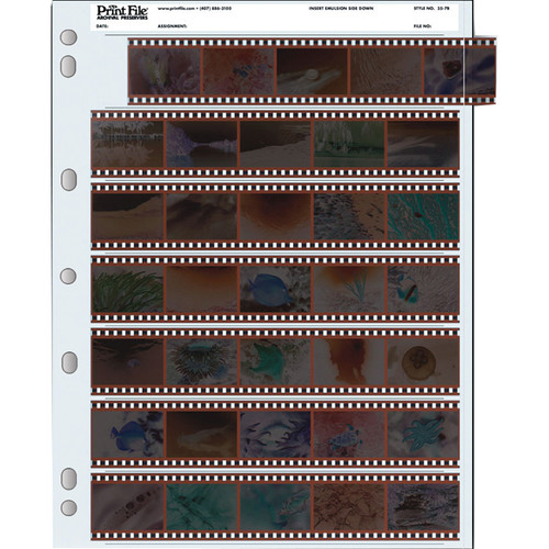 Kenro KNF14 - Pagine Per Negativi 120 - 100 Fogli Traslucidi Con Scheda Indice, Protezione Per Pellicole