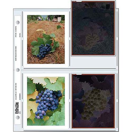 Print File Archival Storage Pages for 4x5" Polaroid Prints / Negatives (100-Pack)