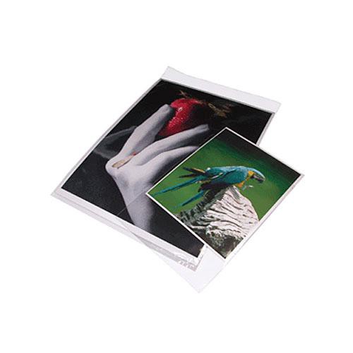 Print File Crystal Clear Bags (12 x 16", 100-Pack)