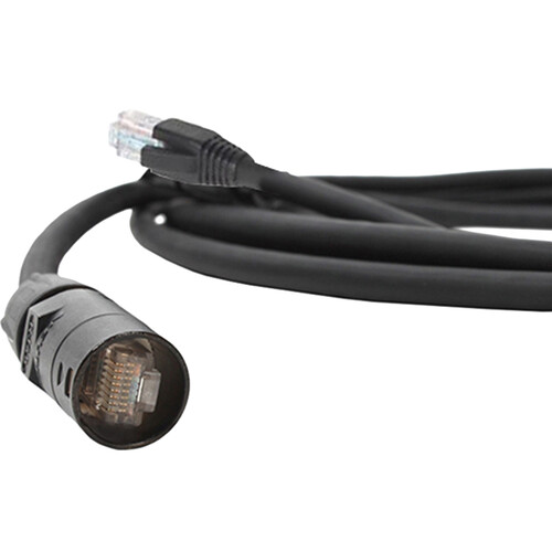 Pro Co Sound ProCat 5 10/100 Base-T Ethernet Cable RJ-45/ EtherCon (15')