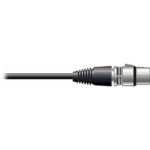 Pro Co Sound RAC Kable - XLR Female  to Blunt End Patch Cable - 20'