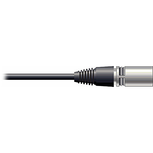 Pro Co Sound RAC Kable - XLR Male  to Blunt End Patch Cable - 10'