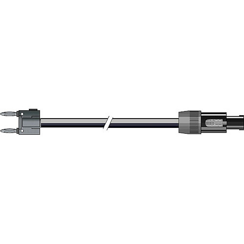 Pro Co Sound Lifelines PowerPlus 2x Banana to 4-Pin Speakon Speaker Cable - 25'