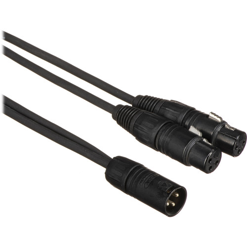 Pro Co Sound XLR Male to 2 XLR Female Y-Cable - 1'