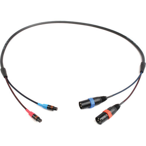 Remote Audio CA744XLRLO Dual XLR Male to Dual TA3F Output Cable for 744T (48")