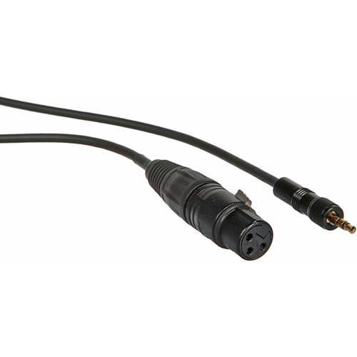Remote Audio CASENSK100XMC48 XLR Female to Locking 3.5mm TRS Male Adapter Cable (4')