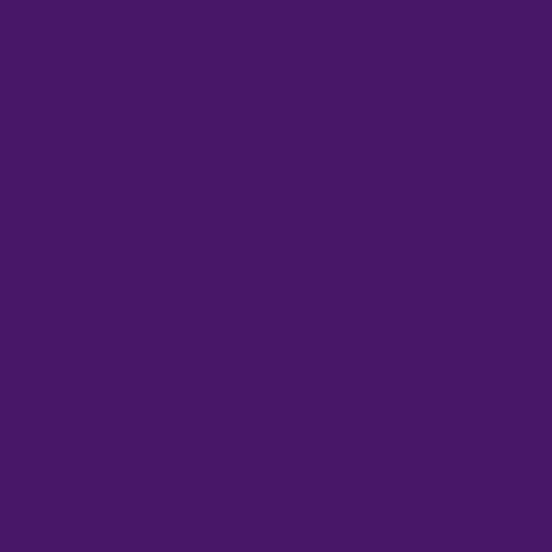 Rosco #49 Filter - Medium Purple - 24"x25'