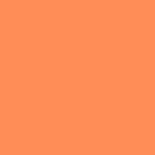 Rosco #317 Filter - Apricot - 24"x25'
