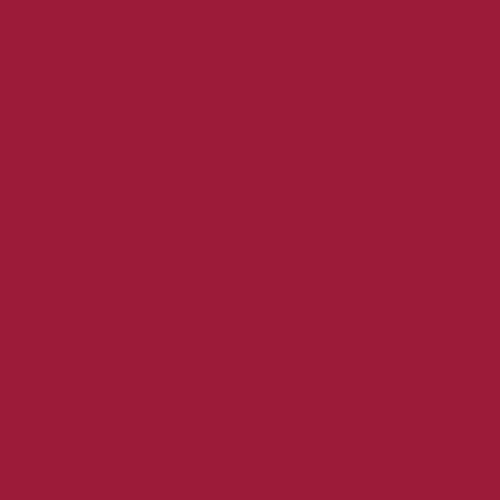 Rosco E-Colour #046 Dark Magenta (21 x 24" Sheet)