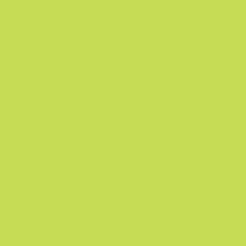 Rosco E-Colour #088 Lime Green (21 x 24" Sheet)