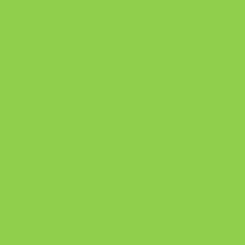 Rosco E-Colour #121 Soft Green (21 x 24" Sheet)