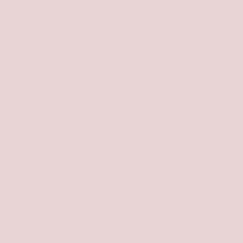 Rosco E-Colour #185 Cosmetic Burgundy (21 x 24" Sheet)