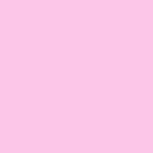 Rosco E-Colour #186 Cosmetic Silver Rose (21 x 24" Sheet)