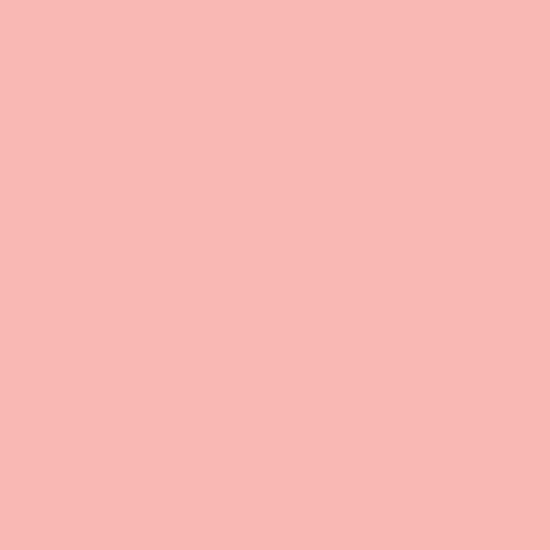 Rosco E-Colour #187 Cosmetic Rouge (21 x 24" Sheet)