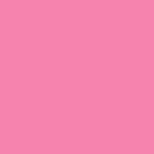 Rosco E-Colour #192 Flesh Pink (21 x 24" Sheet)