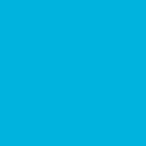 Rosco Fluorescent Lighting Sleeve/Tube Guard (E-Colour #E118 Light Blue, 2' Long)