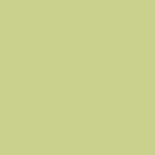 Rosco Fluorescent Lighting Sleeve/Tube Guard (E-Colour #E244 Plus Green, 8' Long)
