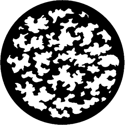 Rosco Steel Gobo #7806 - Leaf Breakup (Large) - Size E