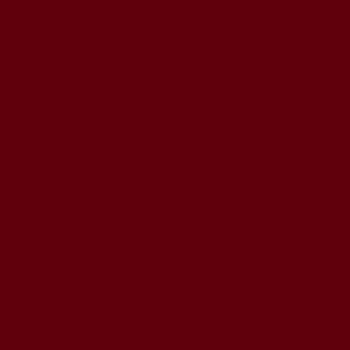 Rosco #27 Filter - Medium Red - 20x24"