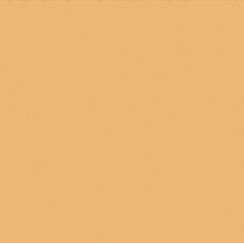 Rosco Cinegel #3411 RoscoSun 3/4 CTO Filter (20 x 24" Sheet)