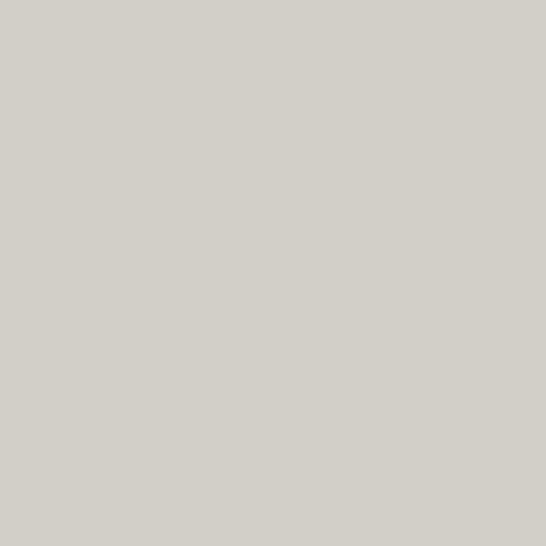 Rosco Roscolux #397 Pale Gray Filter (20 x 24" Sheet)