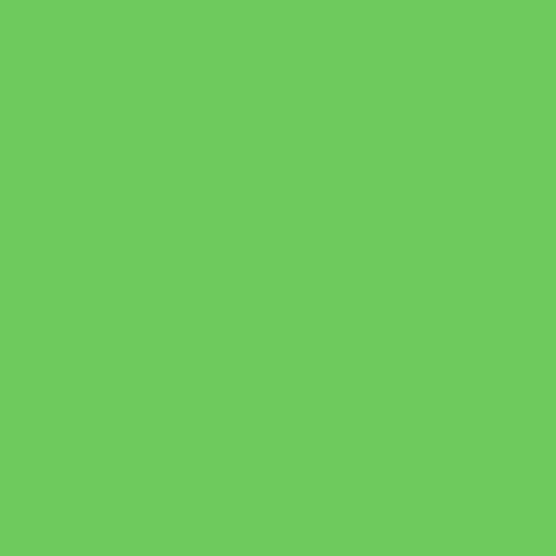 Rosco #4460 Filter - Green (2 Stop) - 20x24"