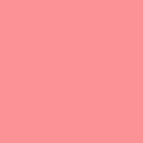 Rosco #4615 Filter - Red (1/2 Stop) - 20x24"
