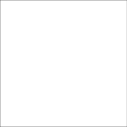 Savage Accent Solid Muslin Background (10 x 24', White)