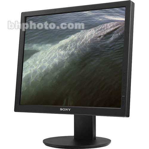 Sony SDMS95DRB 19" LCD Computer Monitor
