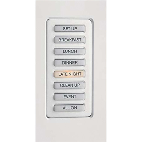 Strand Lighting 61203 Environ3 Strap-Style Master Control Station (Gray Finish)